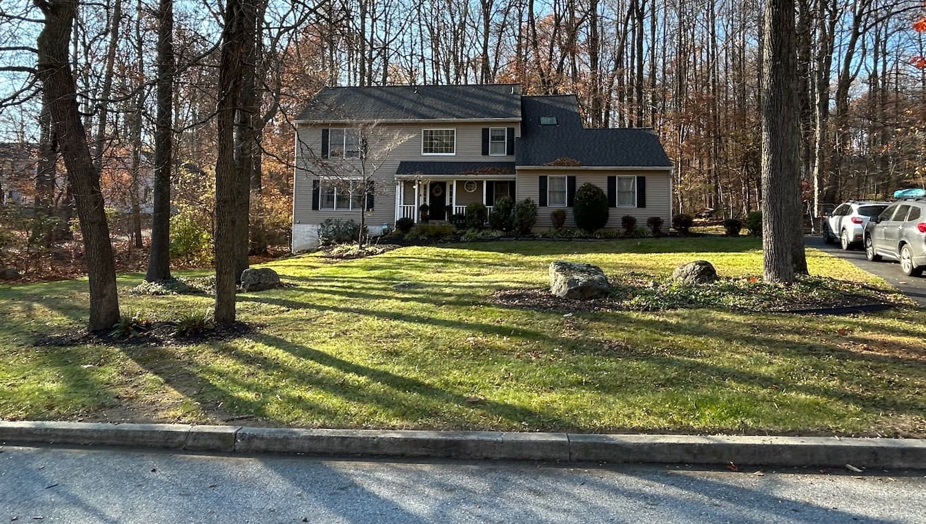 Leaf Removal service
