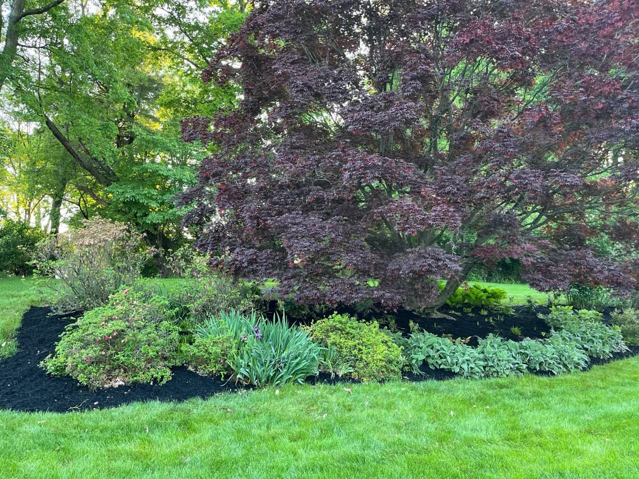 Finished planting result